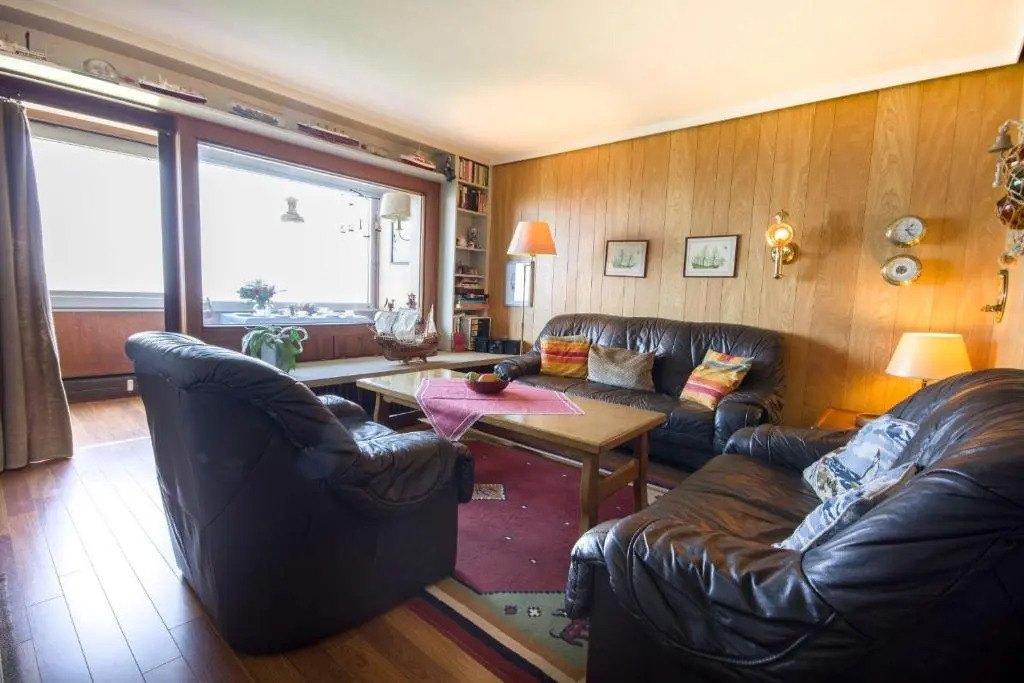 Haus-Seehund-15