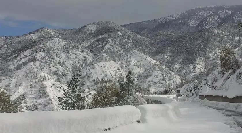 Central Hotel Pedoulas