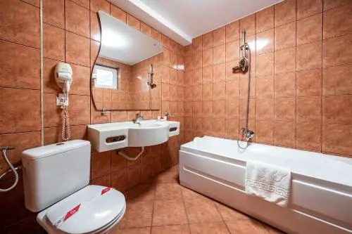 Vila Diana - Poiana Brasov with breakfast optional at hotel Simona Halep