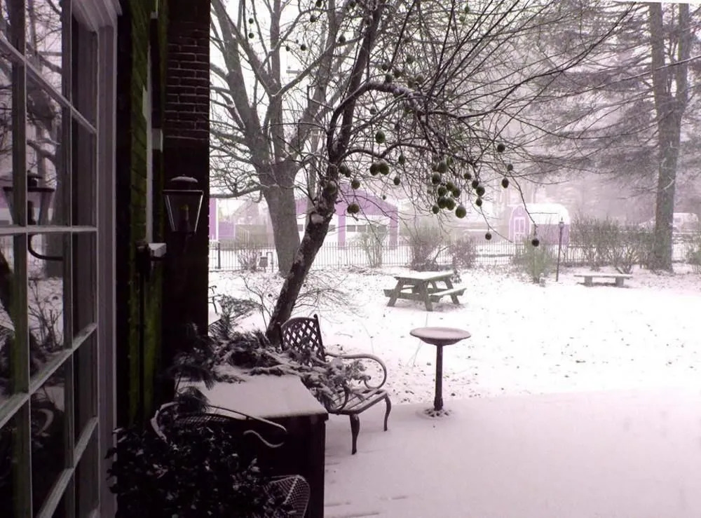 Mountain Laurel Bed & Breakfast