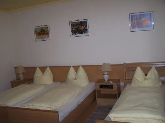 Hotel Vitis