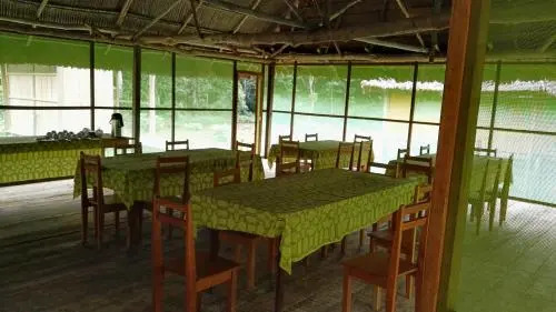 Amazon Eco Tours & Lodge