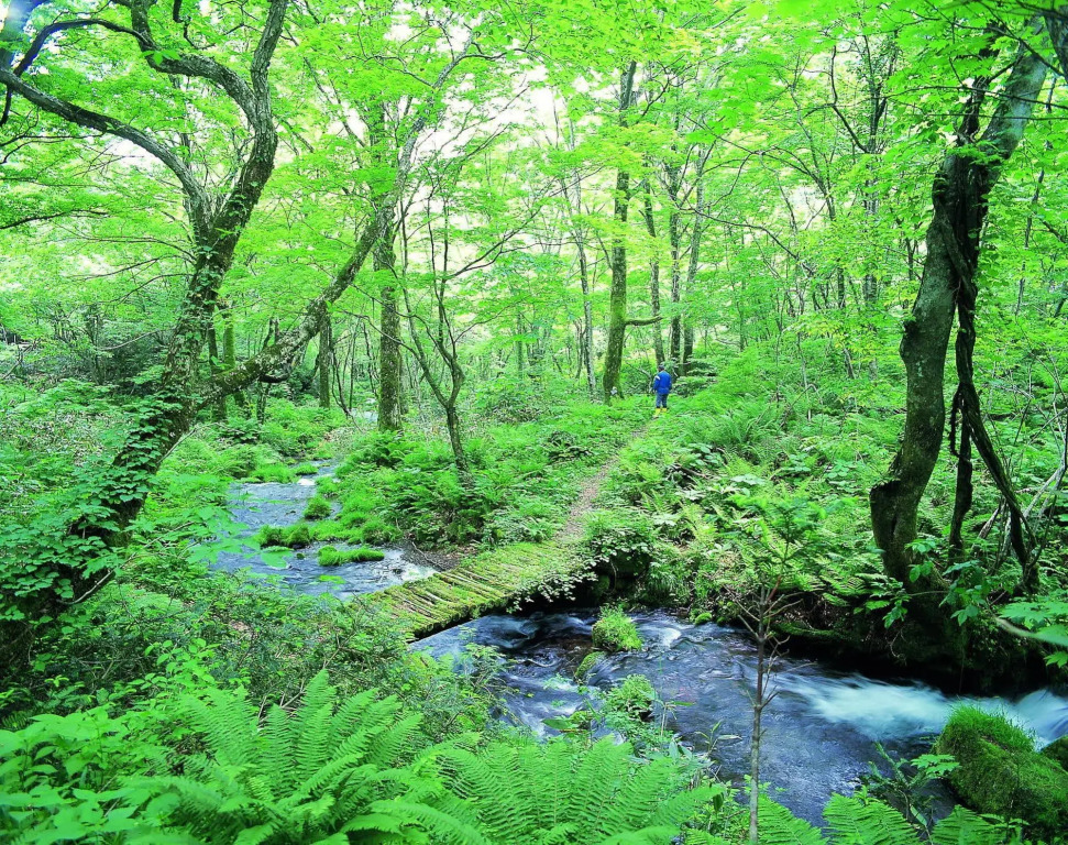 Kyukamura Oku-Daisen