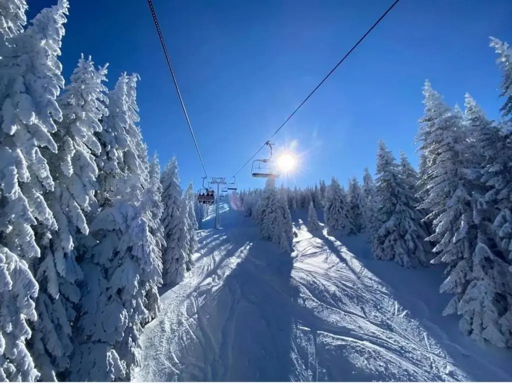 Milmari resort Sara P61