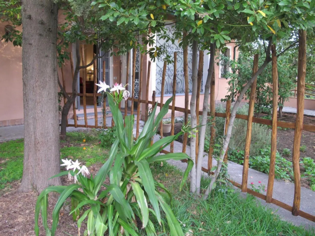 Casa Amaryllis