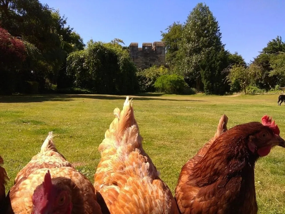 West Wing B&B