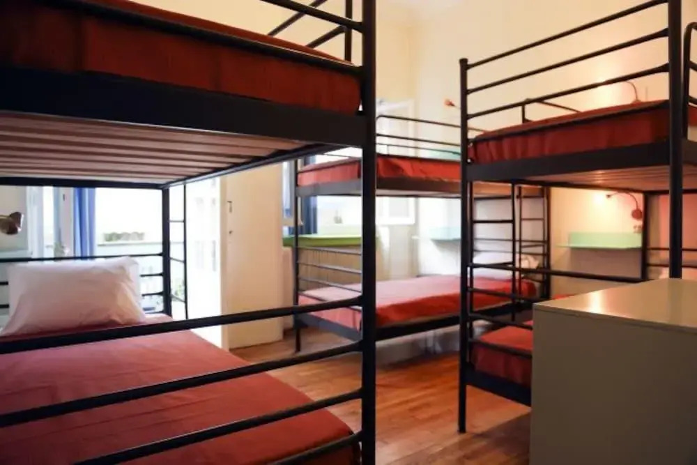 Chameleon Youth Hostel - Hostel