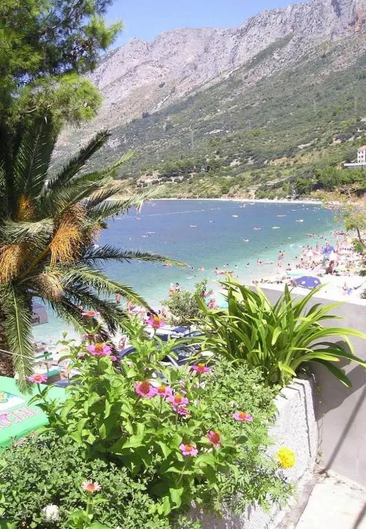 Katja - 10 m from beach - R2 Gita(3)