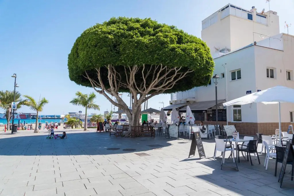 Apartments in Los Cristianos Centre