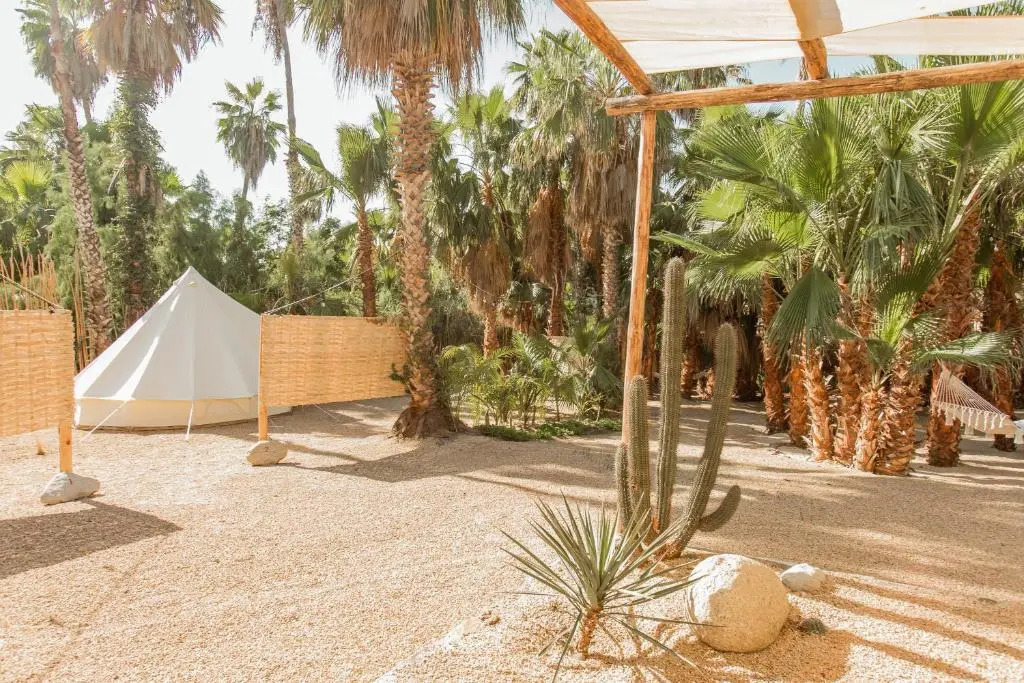 Cien Palmas Tent 1
