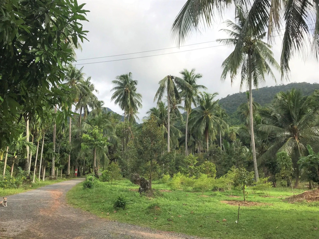 Somphoch Garden