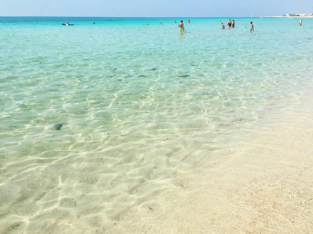 Casa Salento Mare