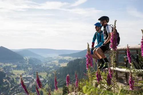 Deckers Bio Hotel zum Lamm