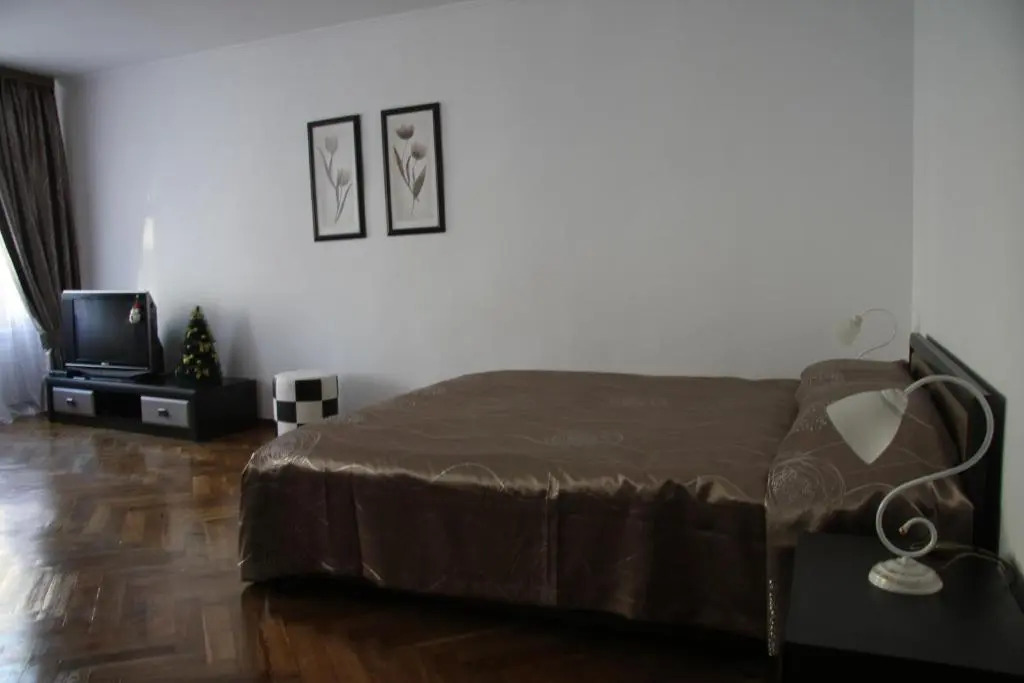 Apartment on Virmenska street 2