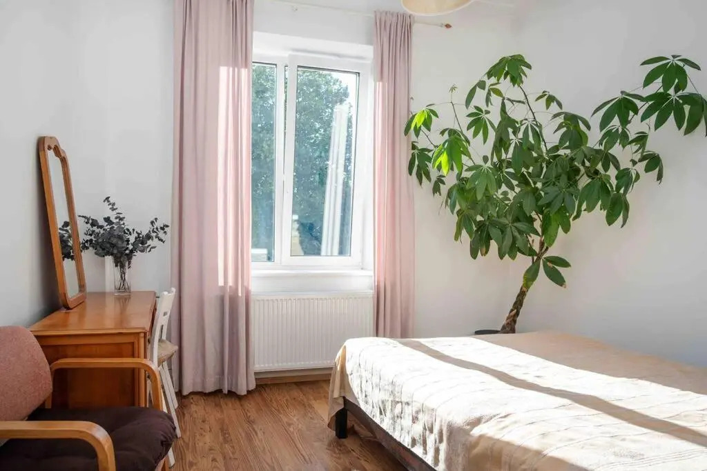 Charming apartment in the city center