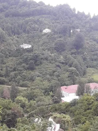 საოჯახო სასტუმრო