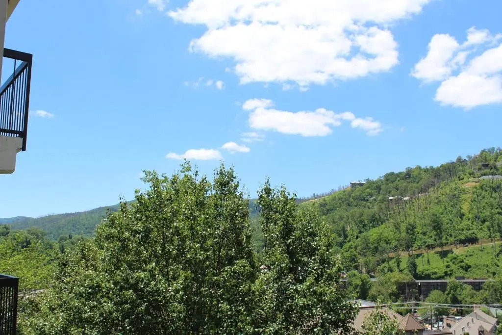 Gatlinburg Chateau 407