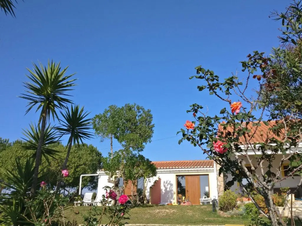Quinta Reuffurth