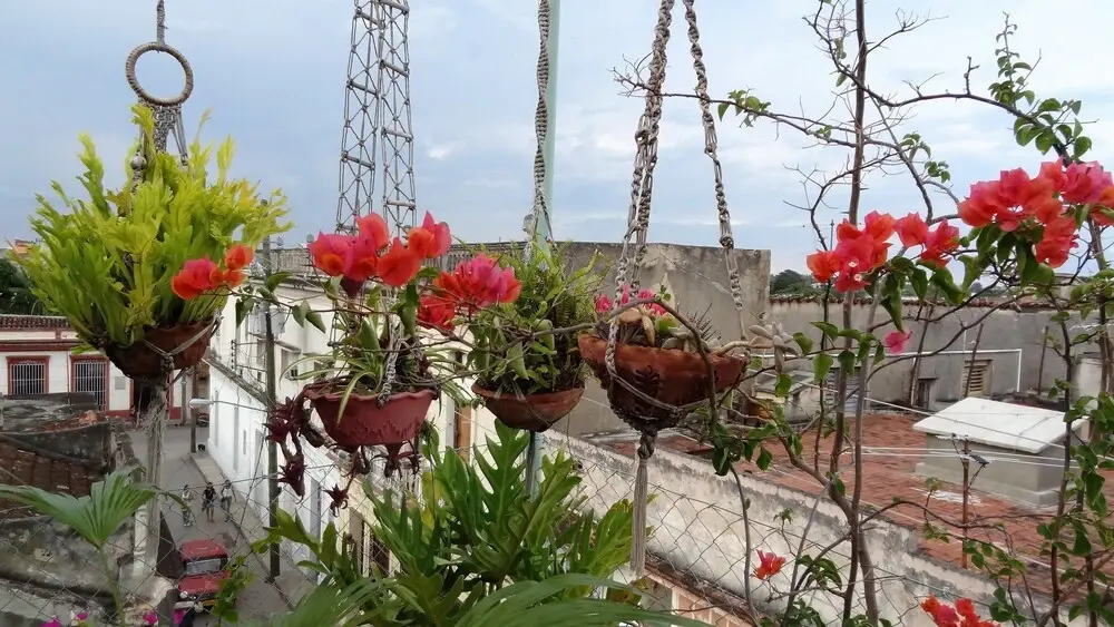 Hostal Amalia