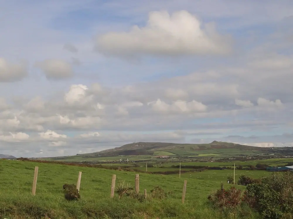 Cae'r Wylan