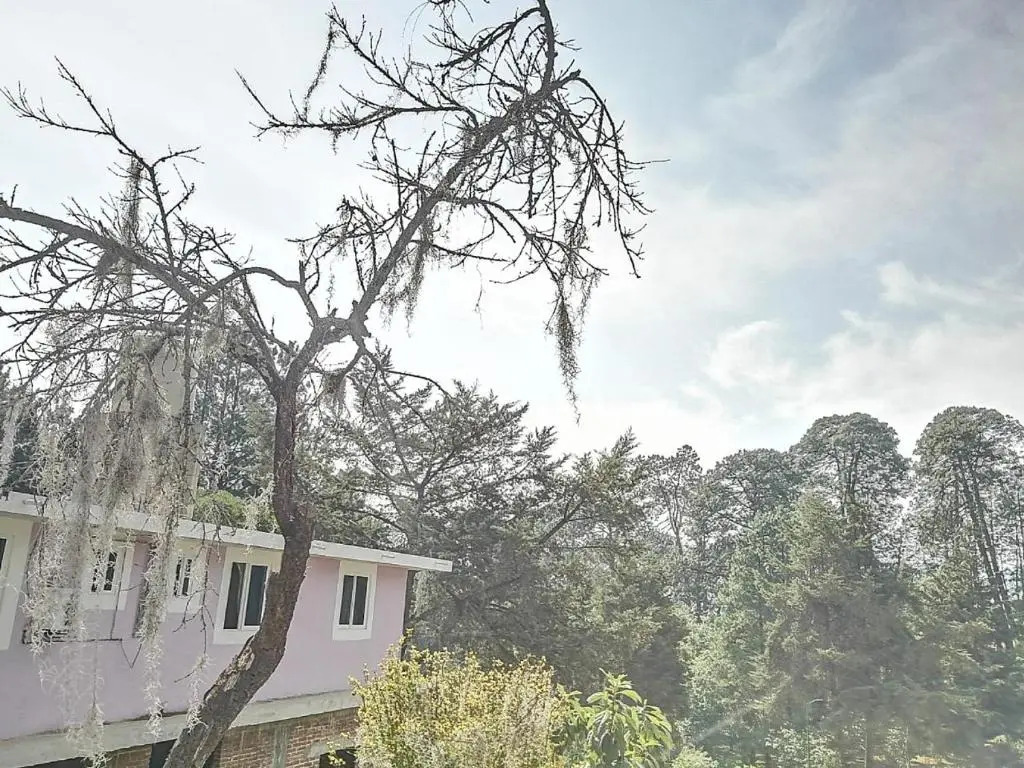 Hotel Bosques