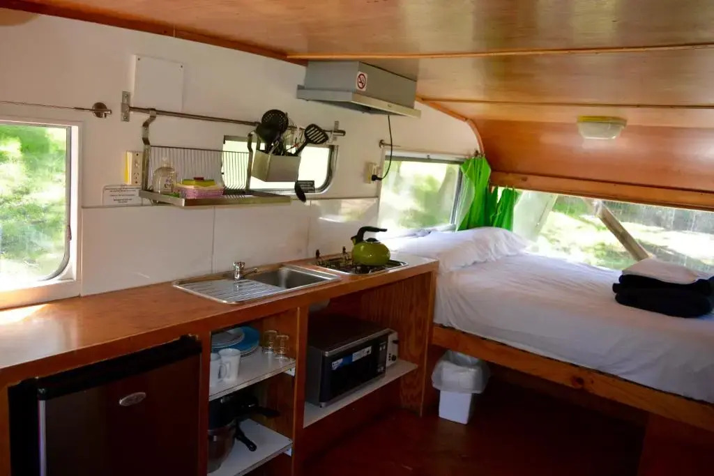 Bimbi Park - Camping Under Koalas