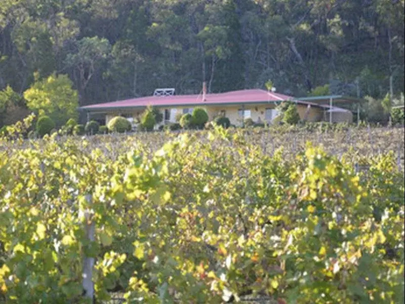 Sancerre Estate