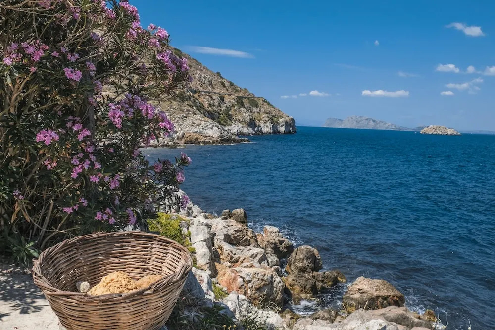 Lotus Sweet Home Hydra