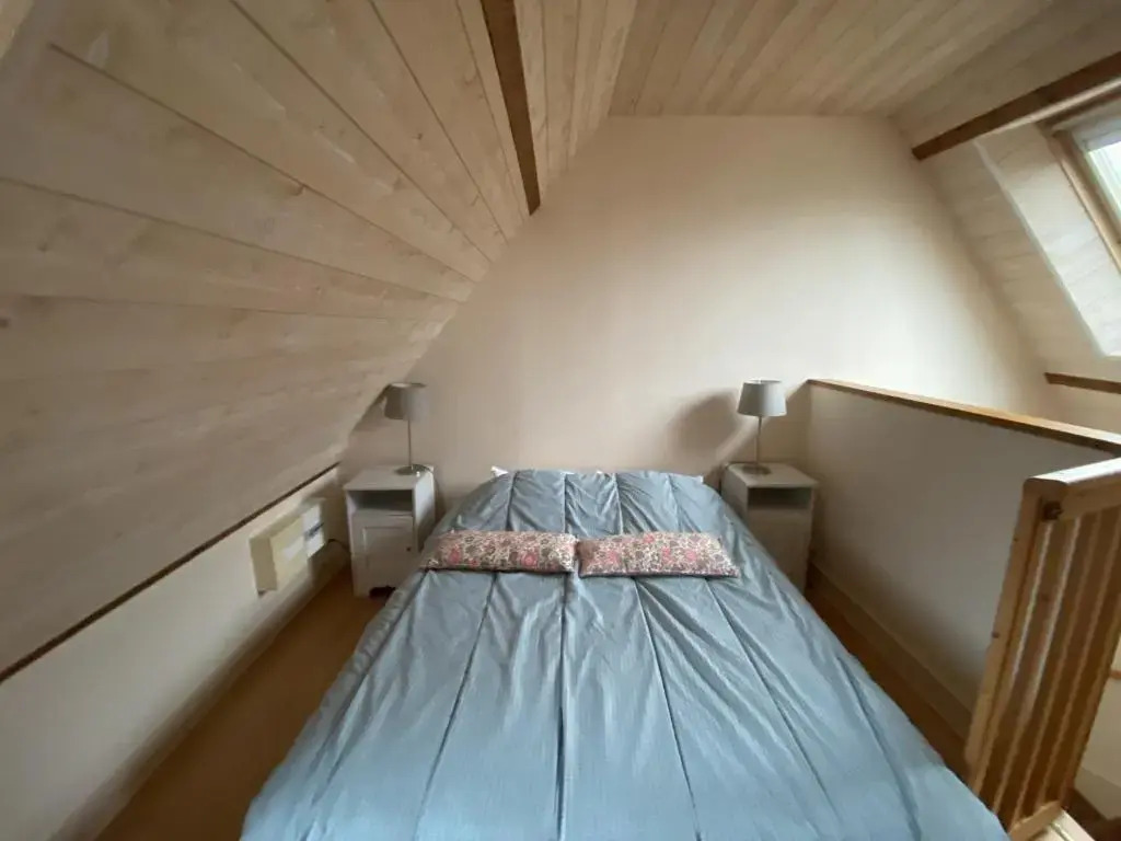 Appartement La Roche-Posay, 1 pièce, 2 personnes - FR-1-541-55