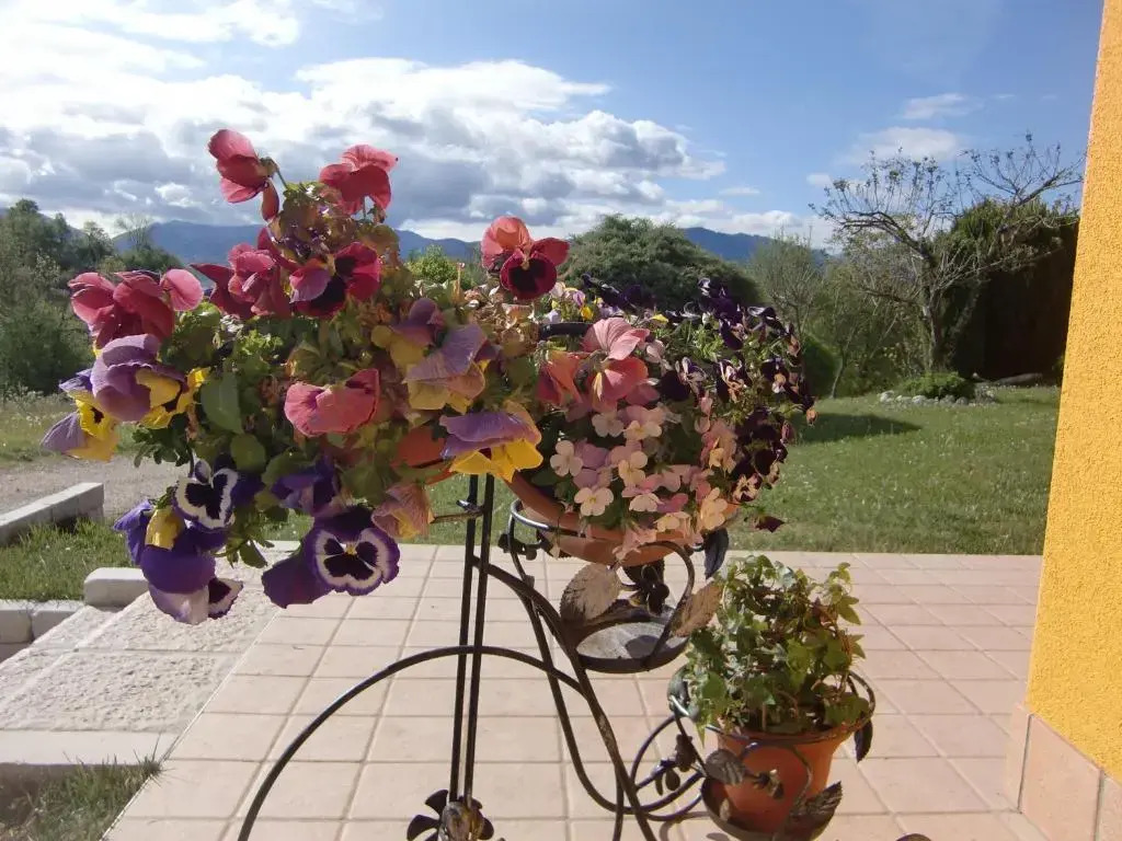 B&B Dolomitincanto