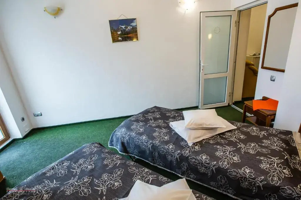 Pensiunea Vila Europa