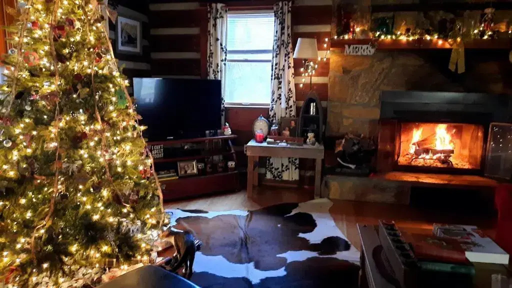 The Mountain Forager Cabin, Whitewater Rafting, Polar Express, Hot Tub, Home Gym