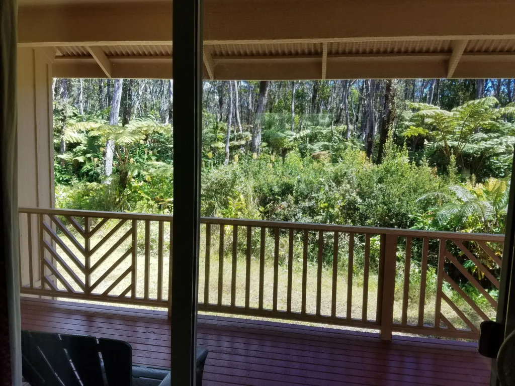 Volcano Forest Inn