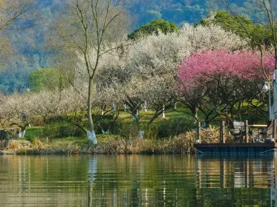 Hangzhou Shuimo Zhuang Private Home Forest Hotel (Chaoshan Scenic Area)