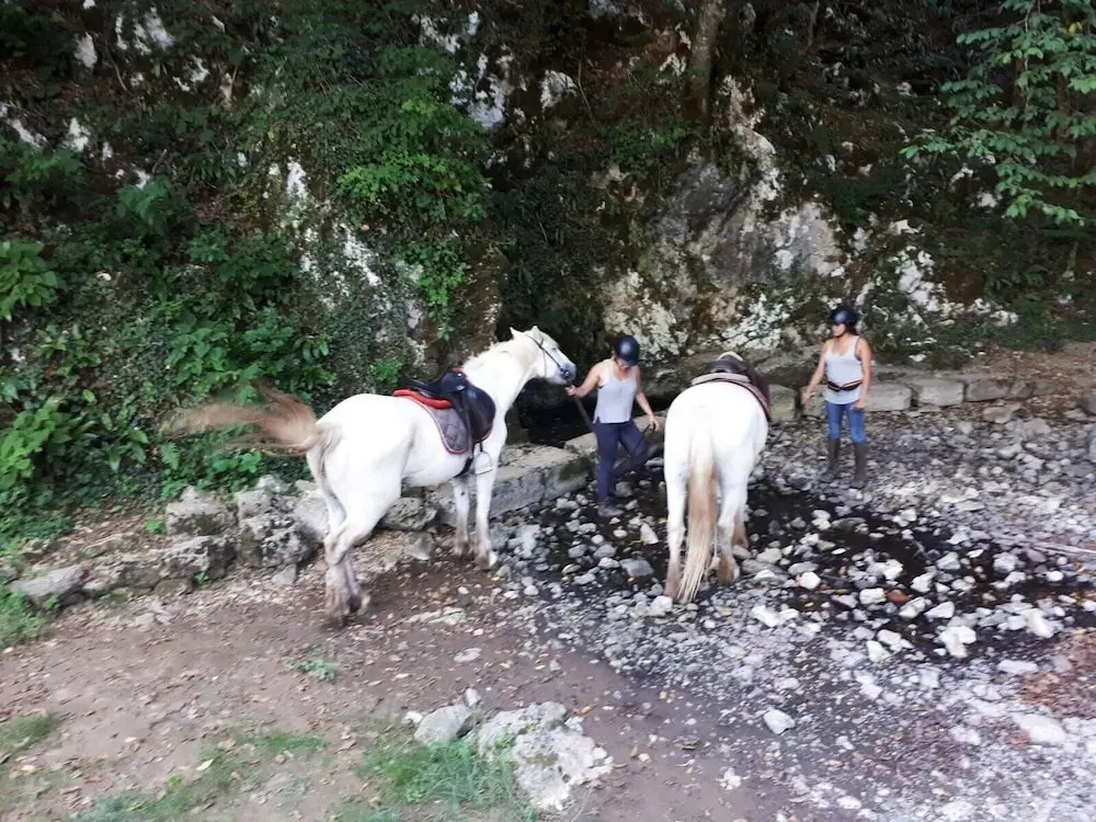 Ranch Terra