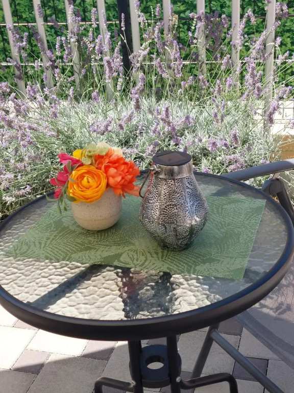 Ruža Apartmani Zadar