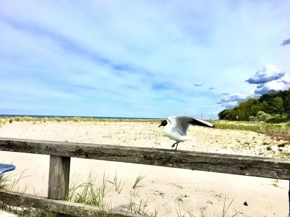 Holiday Home \"on the Beach\"