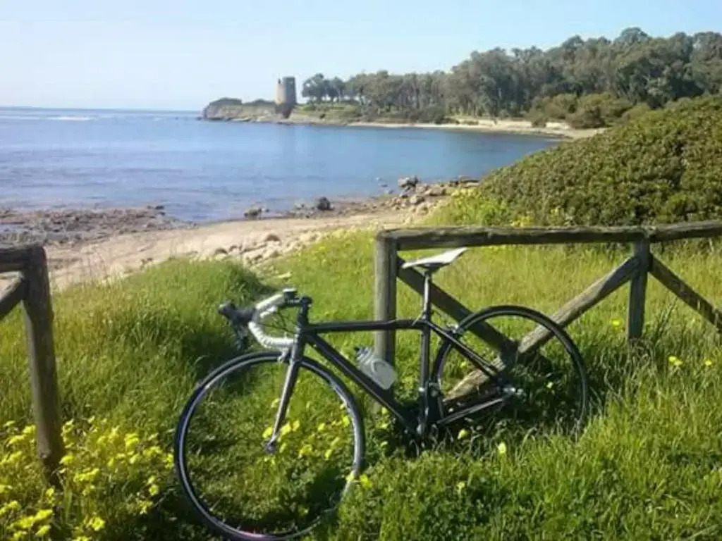 B&B Il Vigneto