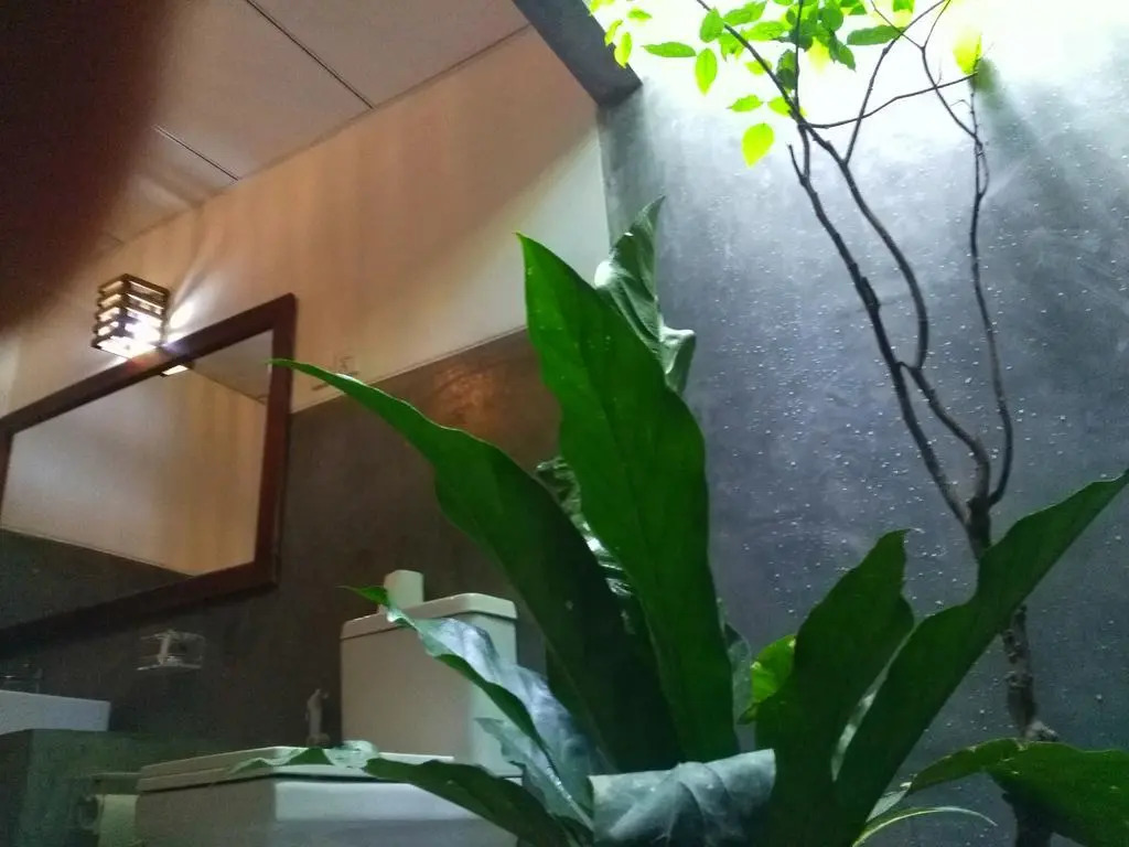 Habarana Tree House - Ivory cottage