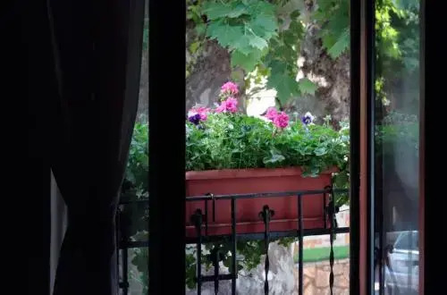 Patio de las Flores