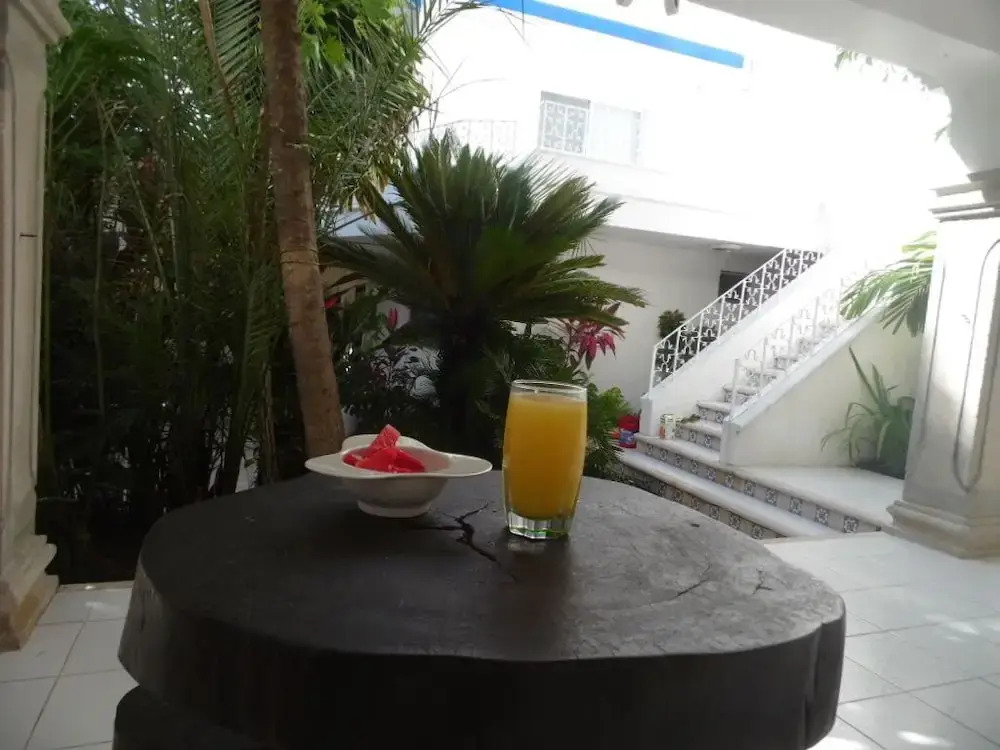 Tropical Casablanca Party Zone