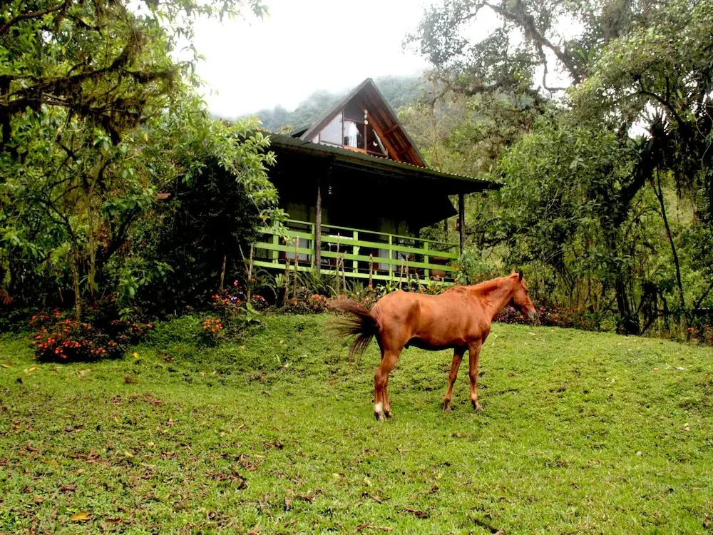 Mindo Eco chalet