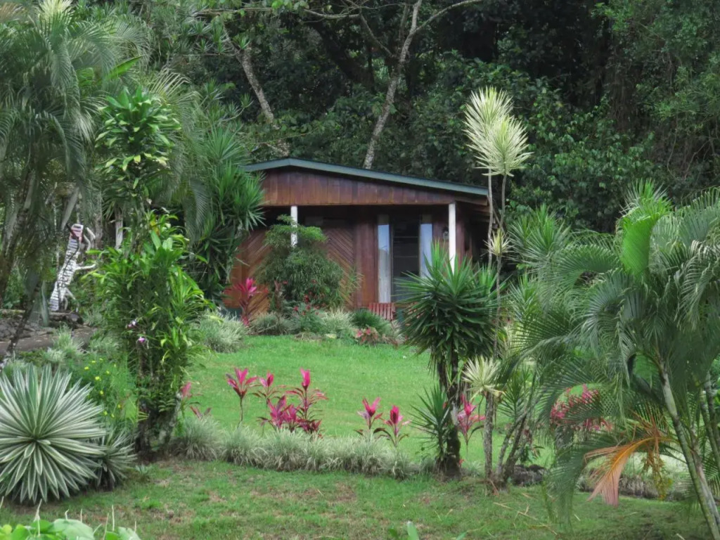 Hotel La Rana de Arenal
