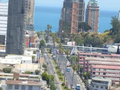 Sol de Viña