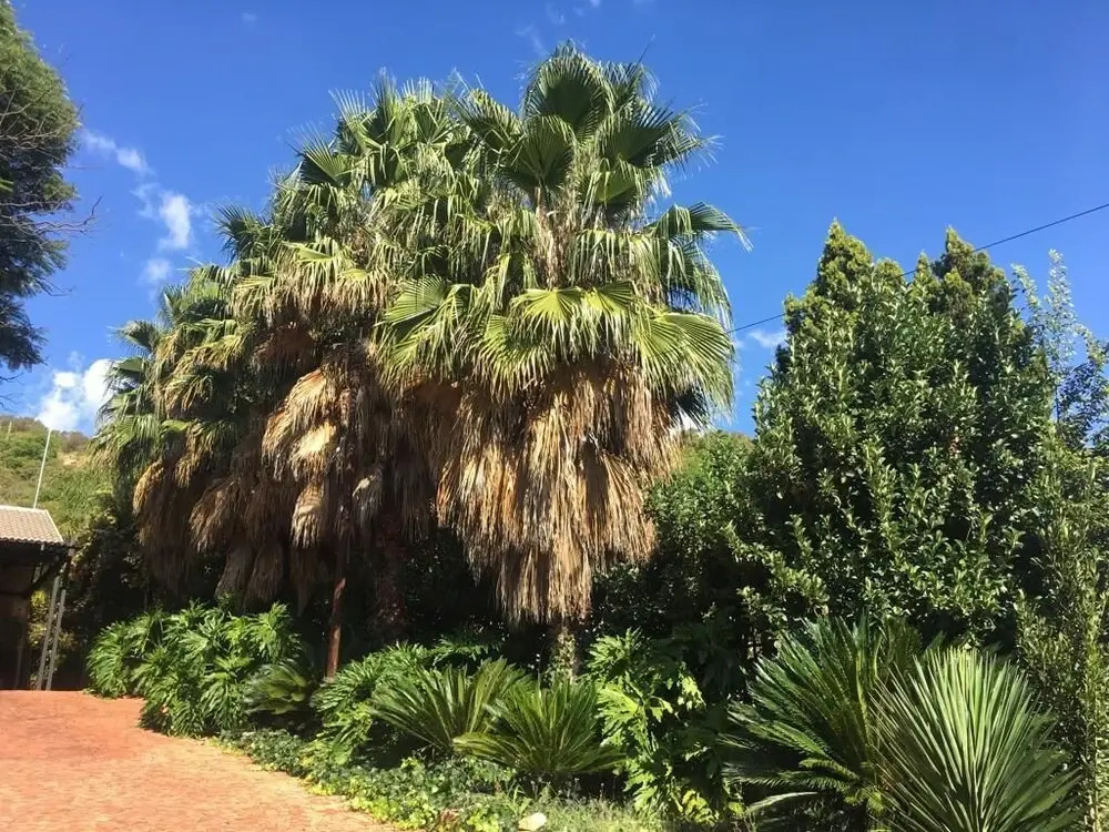 Aloe Guesthouse Klerksdorp