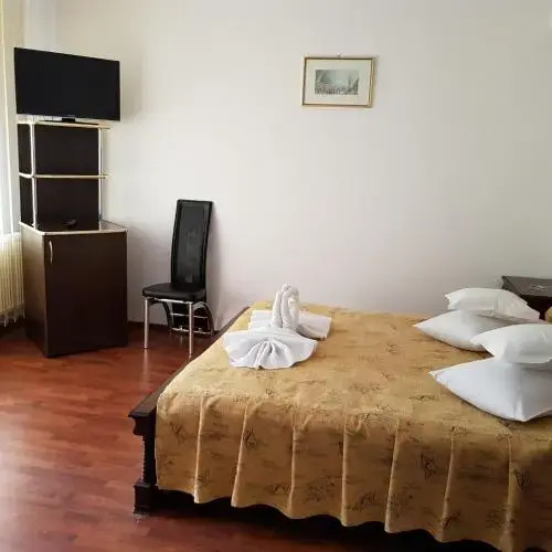 Pensiunea TV Condor