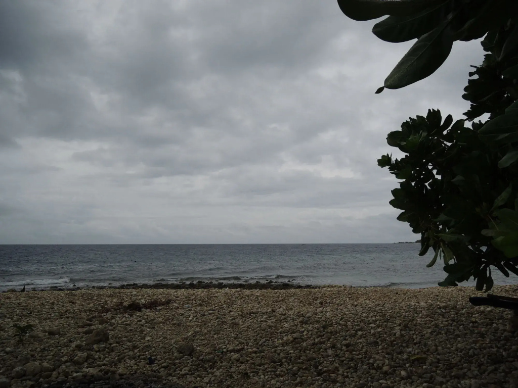 Lagnasons Place
