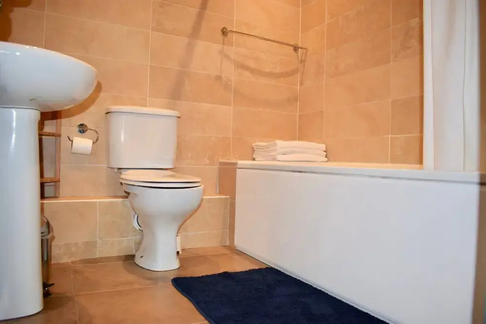 Chic 1 Bedroom Flat In The Heart Of Dublin City