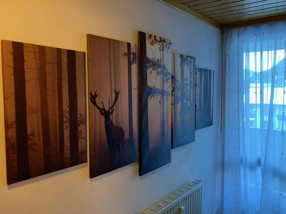 Appartement Ski und Therme 1 Bach