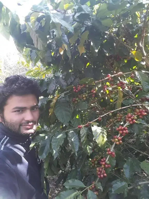 Begnas Coffee House & Hotel